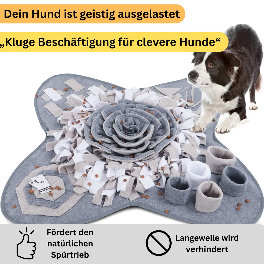 Schnüffelmatte