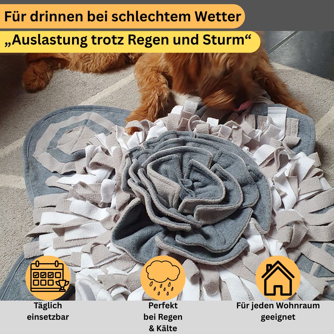 Schnüffelmatte
